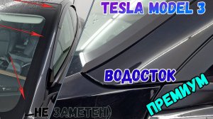 Водосток ПРЕМИУМ для TESLA MODEL 3 (I+I рестайлинг) с 2019г.в. - strelka11.ru