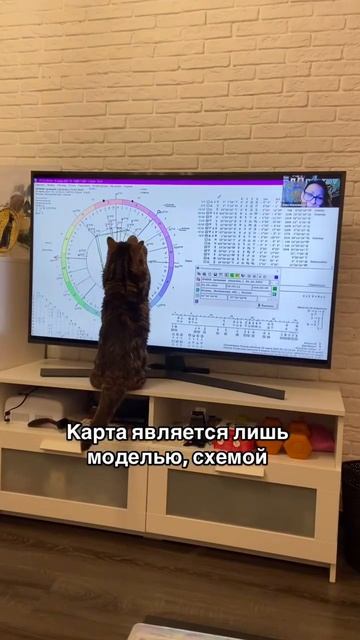 Что наверху, то и внизу. Принцип астрологии
