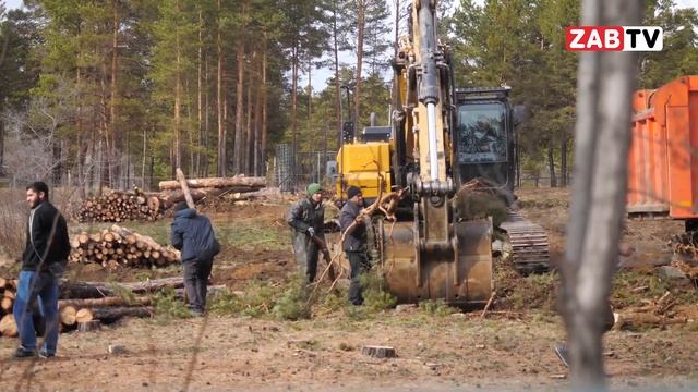 Картина Дня -  23 апреля  2024 года