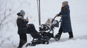 Срок рассмотрения заявлений на распоряжение маткапиталом сократят вдвое