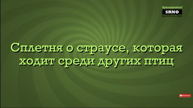 💥СТРИМ ❗ The Jack Box Party Pack 3,4 и 5 ❗ Победитель выбирает игру💥 смотреть онлайн