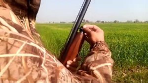 Russian Baikal MP-156 Shotgun Review 2024 | Test Fire Patterns & Chokes