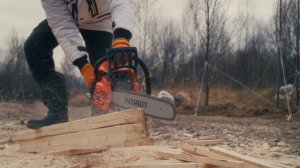 Посадка ЛИПЫ мелколистной 5-6м