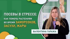 Посевы в стрессе: как помочь растениям во время заморозков, засухи, жары | ООО «Кр