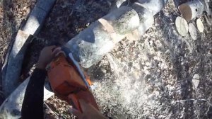 "Ported or Not"  Husqvarna 394xp VS 394xp