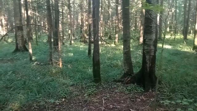 Памятка начинающему туристу. Руководитель эгоист
