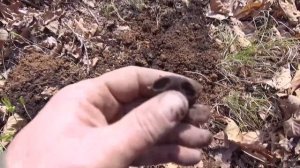 Коп в Приморье. Апрель 2022