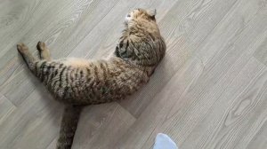 а на ВОЛЕ ВЕСНА❤️Джуля СЛЕДУЮЩАЯ наши ПОКУПКИ