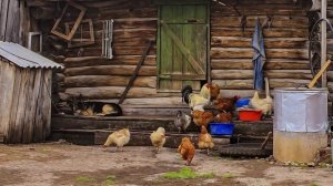 Ремонт Хутора Вишняковых, стартовал ! Много дел и нужно много сил и терпения. Милые животные спасают