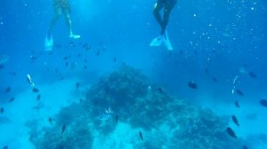 Hurghada Siva Grand Beach 27,2,2016