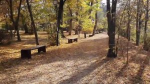 Alex Pusachev Sorry Seems To Be The Hardest Word