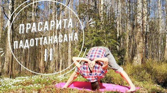 Прасарита Падоттанасана II / поза интенсивного вытяжения ног  *4 (Техника выполнения асан йоги)