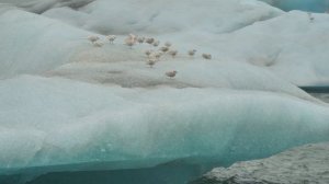 6255500-uhd_4096_2160_24fps