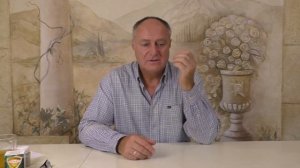 Софоос.  Управление пространством восприятия 24 11 2023