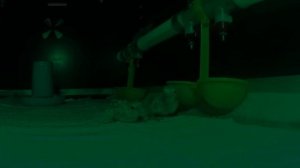 С новым годом 2025!