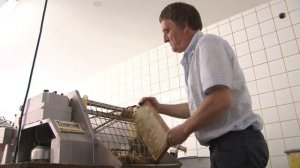 Как получают еловый падевый мед в Вогезах (Франция)
