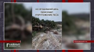 В селе Дросково Покровского района планируется высадка новых деревьев на площади 11 гектаров!