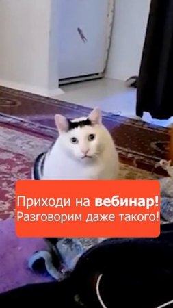 Ученик не разговаривает! Что делать?