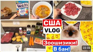 США ВЛОГ Приготовим маставу! Просили? Показываю! Как мы выжили? Семейный ВЛОГ