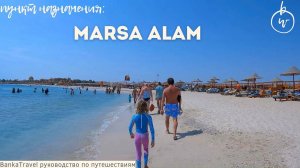 Такого мы не ожидали! Дельфины, Дюгонь, рифы и лучший пляж в Дахабе и Марса-Аламе. Египет