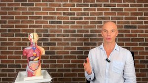 Болит плечо. Сигналы печени: правое плечо как индикатор здоровья