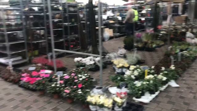 Повышение цен, Рынок Амерсфорт центральная площадь, цены на фрукты и овощи