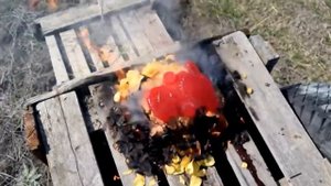 ОПЫТЫ НАД ЖЕЛЕЙНЫМ МЕДВЕДЕМ ФЕДЯЙ