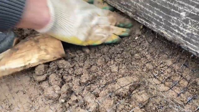 Сетка от кротов. Знал бы я раньше #сад #грядки смотреть онлайн