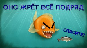 ВРЕМЯ ОБЖИРАЛОВКИ -||- Tasty Blue