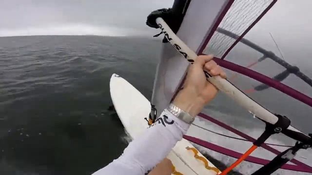 Etang de Leucate 2-4bft SO Bic Bamba Raceboard ART Ellipse 9.0 Windsurfing