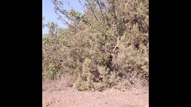 Р одноударный /постановка и автоматизация / как с ним работать / методика