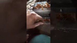 Табакорезка " Алтайка"