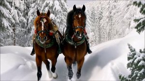 Александр Свириденко - Зима