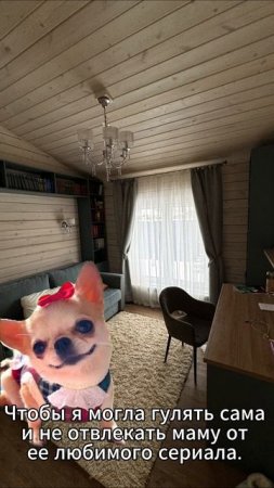 Рассмешил? Поставь лайк)