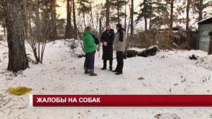 ЖАЛОБЫ НА СОБАК