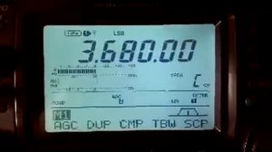 Хамы на 80 м.