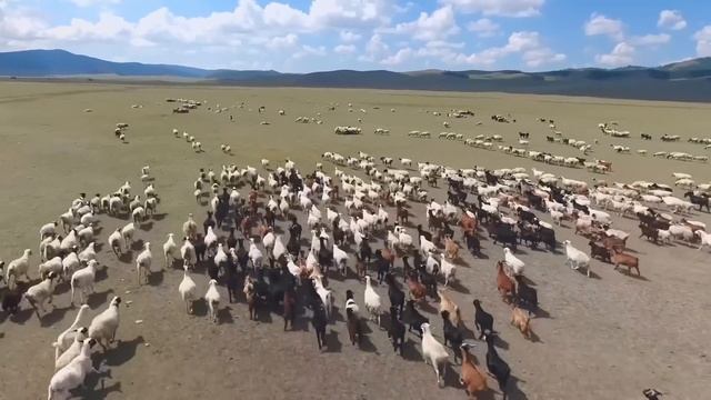 МОНГОЛИЯ СТРАНА ЗАГАДКА смотреть онлайн