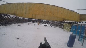 Стрельба из пистолета СZ