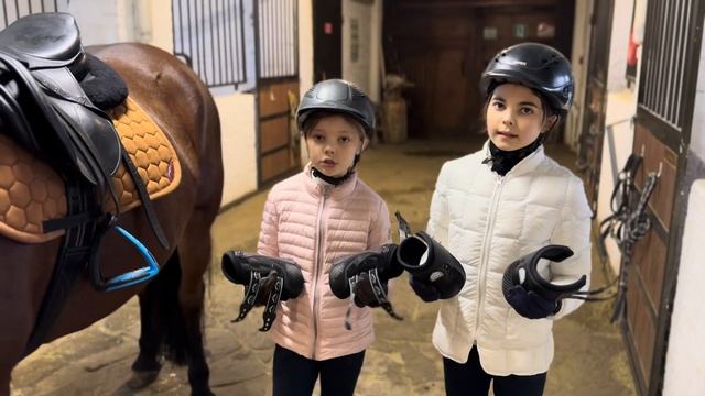 АМУНИЦИЯ ЛОШАДЕЙ | ГОТОВИМ ЛОШАДЬ К ТРЕНИРОВКЕ смотреть онлайн