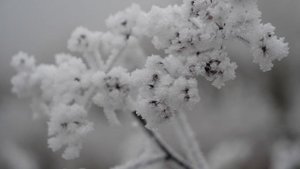 5700819-uhd_3840_2160_25fps
