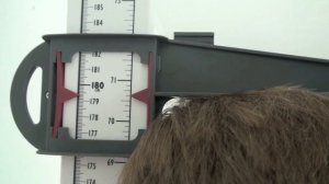 How to Grow Taller - Week 57 Update! THIS MAKES PEOPLE TALLER!