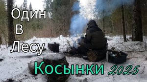 РЫБАЛКА НА КОСЫНКИ 2025. ВОТ ЭТО ДА. ВЫХОД ОКУНЯ С УТРА.