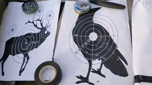 Стрельба по мишеням из Hatsan