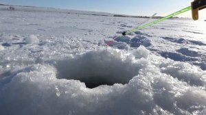 Рыбалка. Моя черная полоса