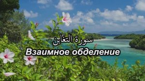 Сура 64. Ат-Тагабун/ Взаимное обделение, со смысловым переводом. Чтец - Имад аль-Мансори