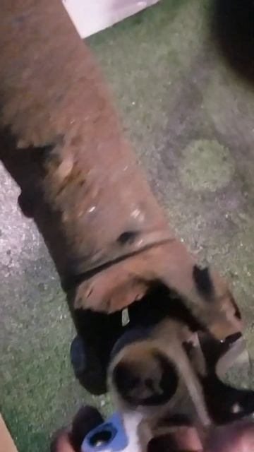 2000 F150 Rear Drive Shaft and U- Joints смотреть онлайн