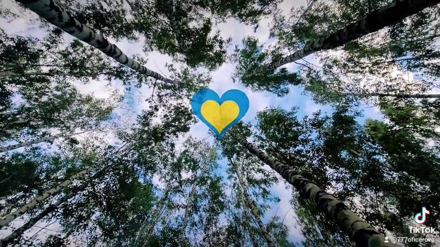 #квакер#монах#калита#bluebird#parrot#приколыпопугаи смотреть онлайн