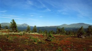 Осень она не спросит..