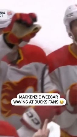 Mackenzie Weegar Trolls Ducks Fans