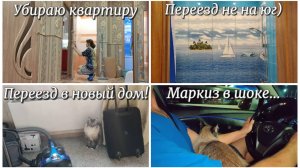 ПЕРЕЕЗЖАЕМ! #29. Не на юг, но в новый дом. Три месяца ремонта! Убираю квартиру. Маркиз в шоке!